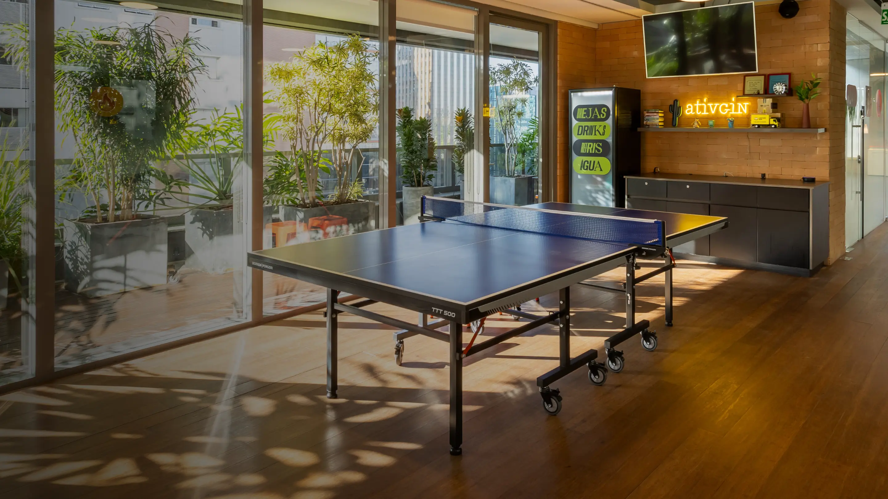 Imagem AtivGreen Mesa Pingpong